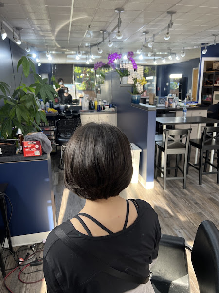 Chic Hair Design 3