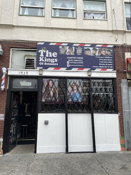 The king of scissors beauty salon 3
