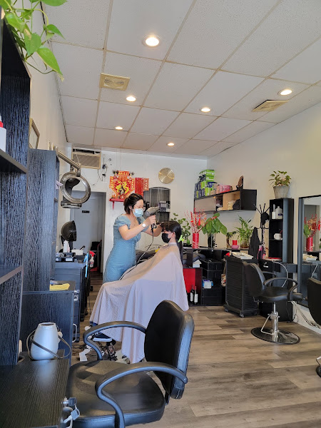 Yulu Hair Salon 3