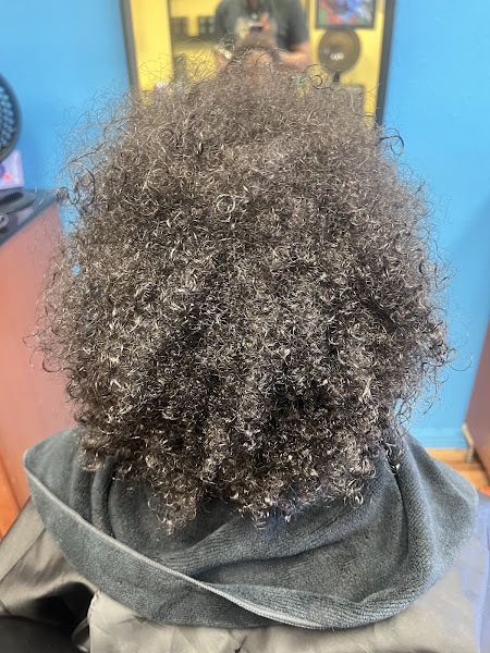 Bleu Champu Salon