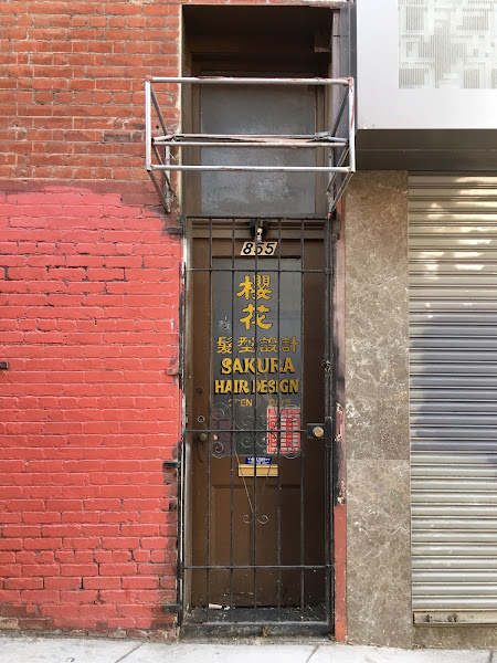Sakura Studio 2