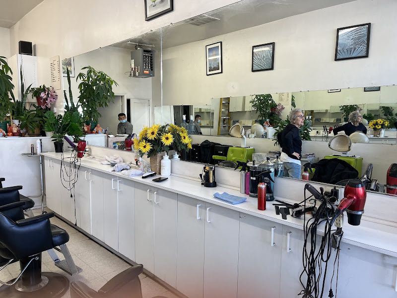 Empress Hair Styling 2