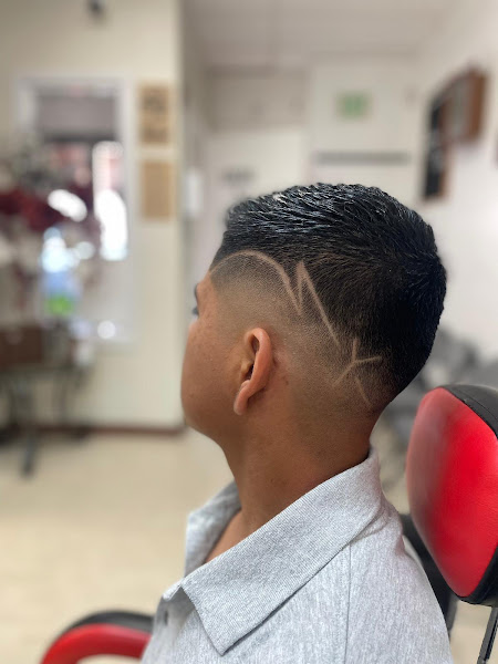Las Americas Hair Dresser 3