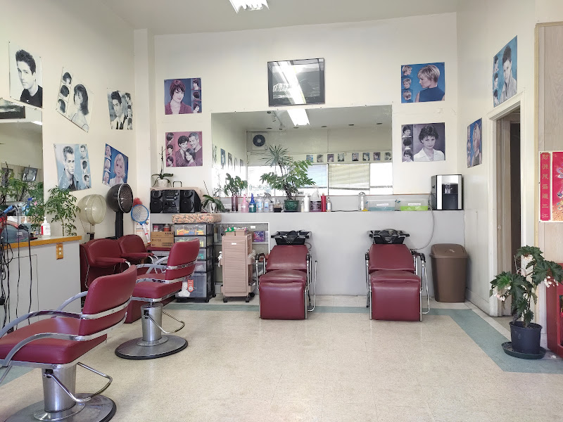 Annie's Hairstyling 2