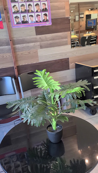 Colors Beauty Salon 2