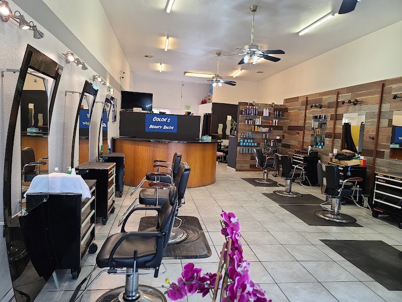 Colors Beauty Salon 4