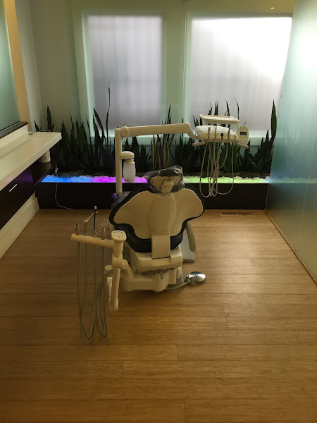 Oakland Green Dental 5