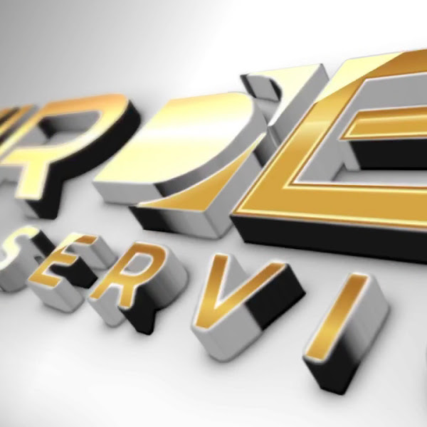 TVirden Tax Services Inc 2