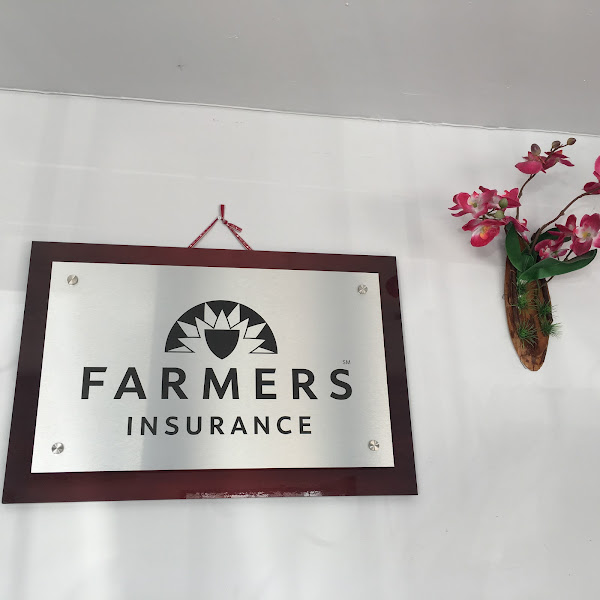 Farmers Insurance - Thy Le 5