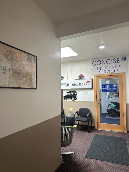 Concise Solutions Insurance Services 2