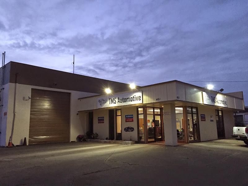 TMS Automotive 3
