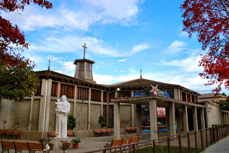 St. Anthony's Catholic Church and Parish Office 3