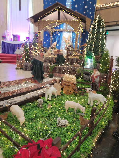 St Louis Bertrand Parish 2