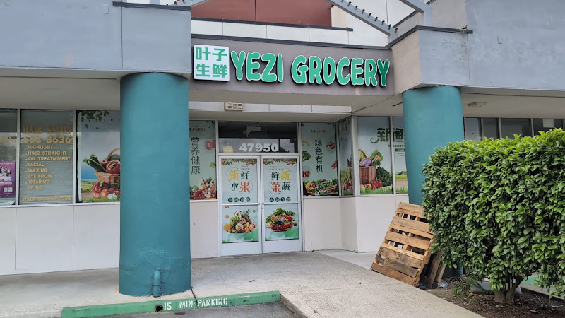 Yezi Fresh 1