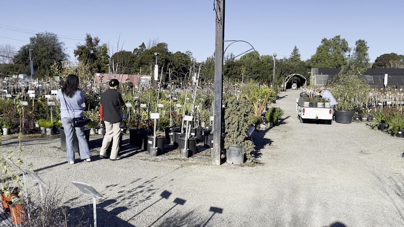 Regan Nursery 2