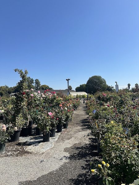 Regan Nursery 4