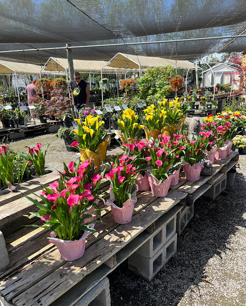 Regan Nursery 5