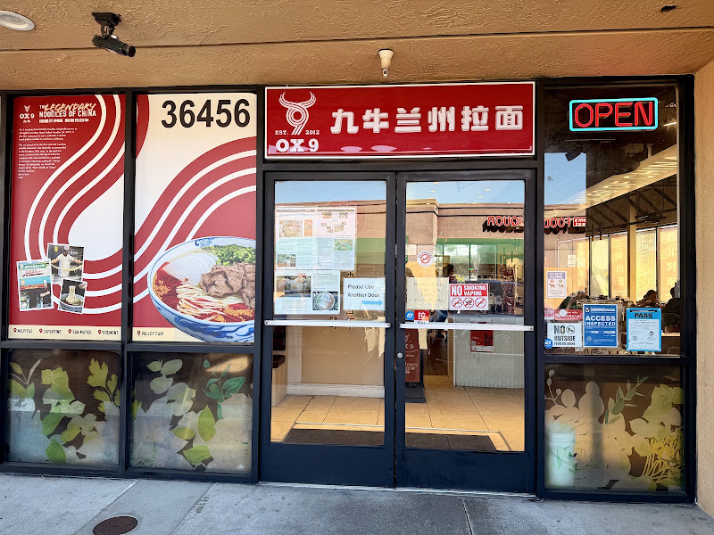 Ox 9 Lanzhou Handpulled Noodles 1