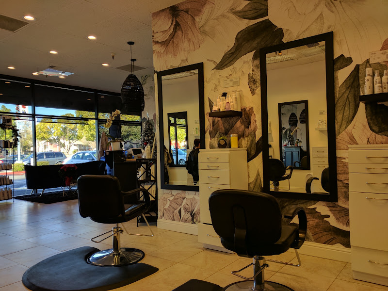 Crush Salon 1