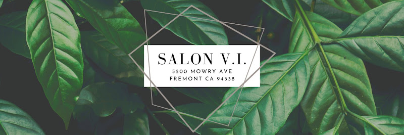 Salon V.I. 1