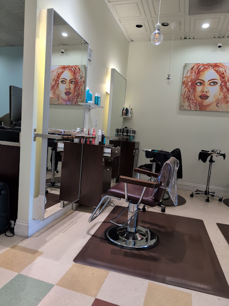 Beauology Brows Hair Skin 3