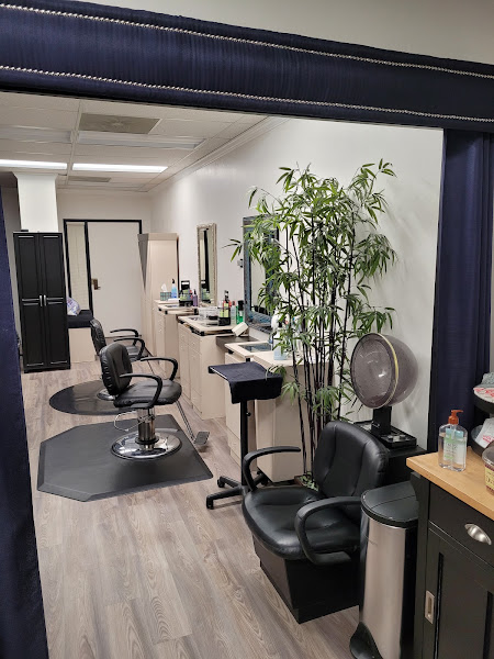 Millennium Salon 1