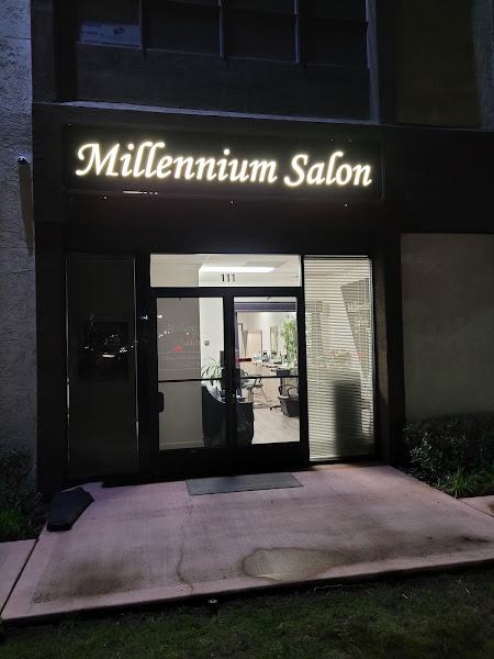 Millennium Salon 2