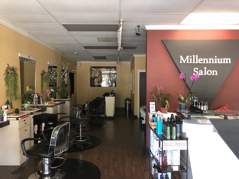 Millennium Salon 3