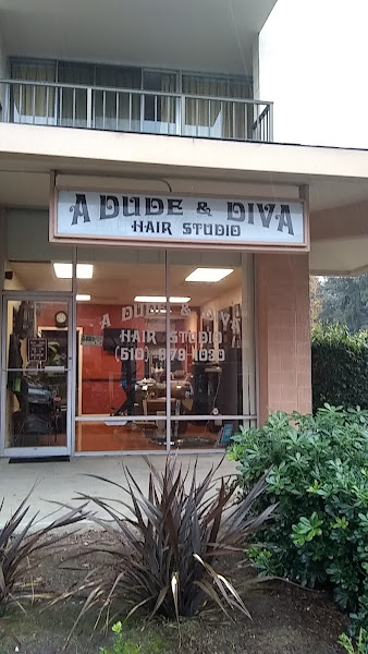 A Dude & Diva Hair Studio 2