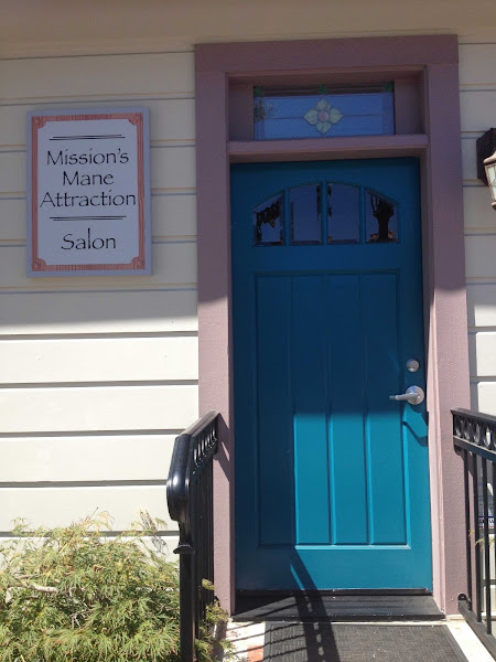 Missions Mane Attraction Hair 1