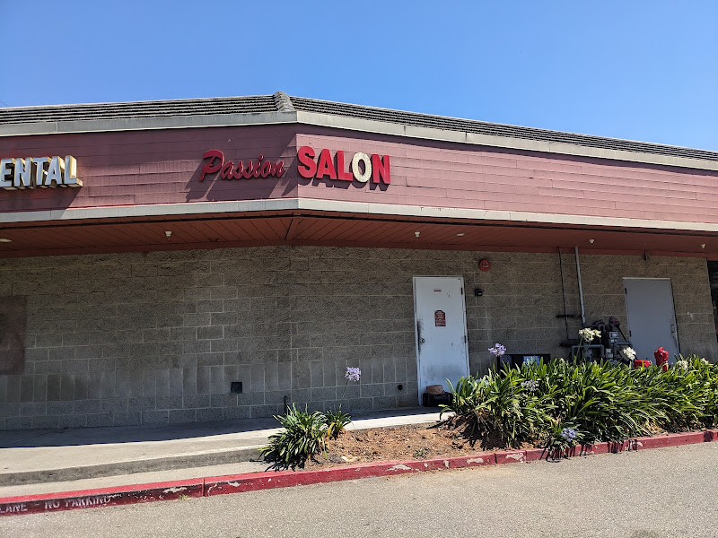 Passion Salon 3