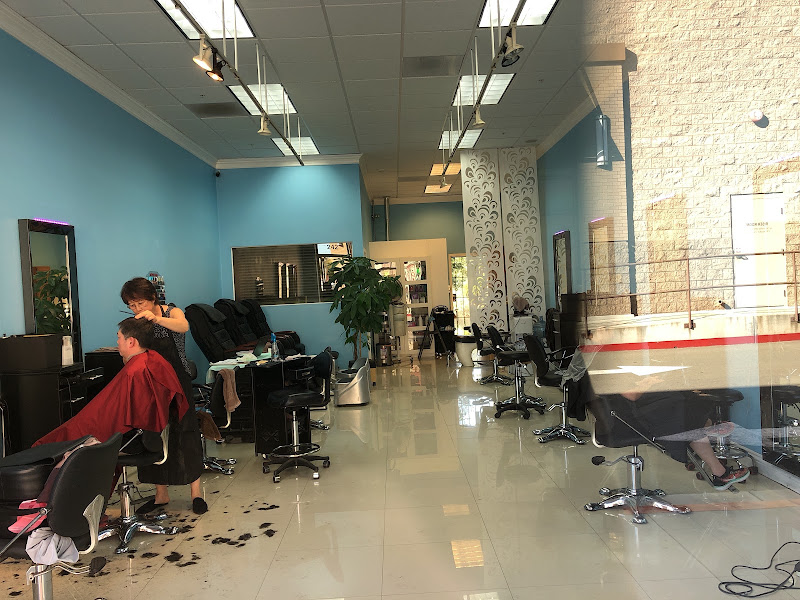 Star Salon 2