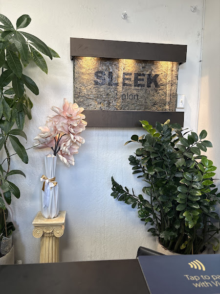 Sleek Salon 3