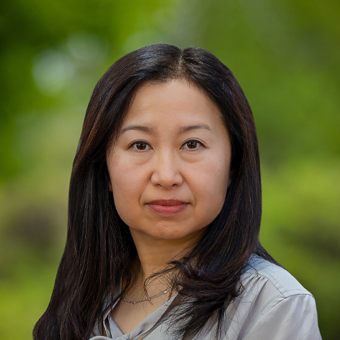 Hongmei Meng, M.D. 1