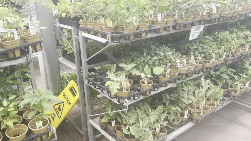 Ace Hardware of Fremont 2