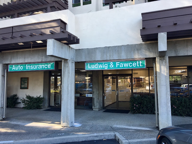 Ludwig & Fawcett Inc 1