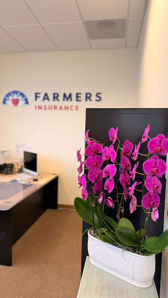 Farmers Insurance - Anthony Chen 4