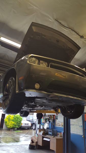 Cat's Automotive Repair 3