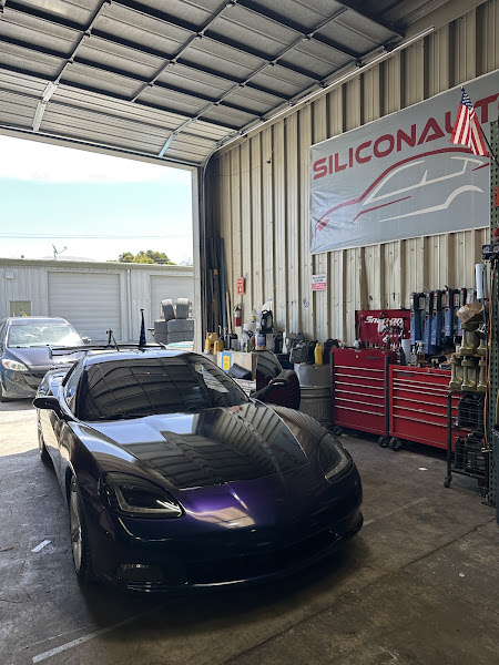 Silicon Auto 1