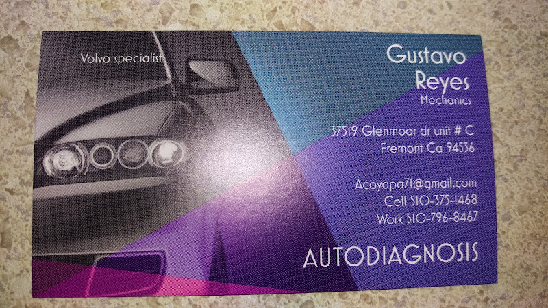 Auto Diagnosis 2