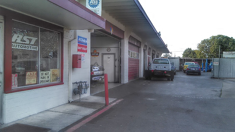 RST Automotive Inc. 2