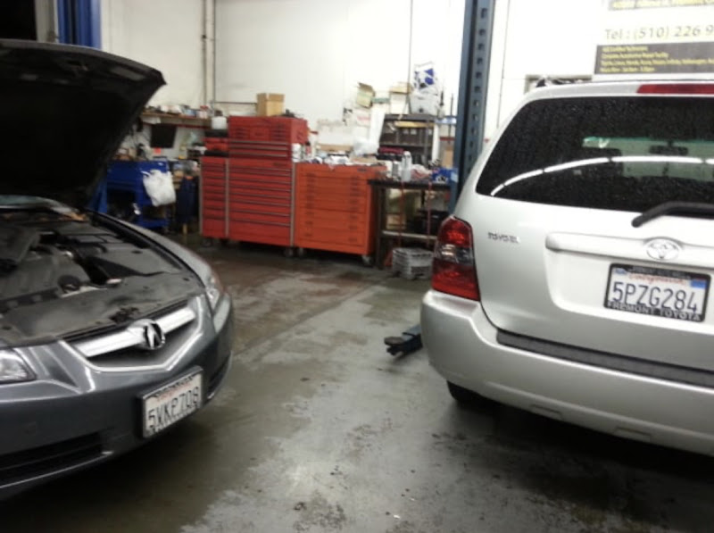 BNP Foreign Auto & Fremont Alignment 4