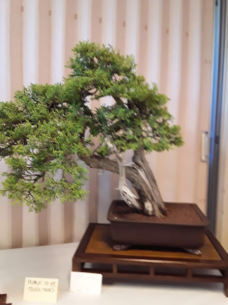Southern Alameda County Buddhist Church 5