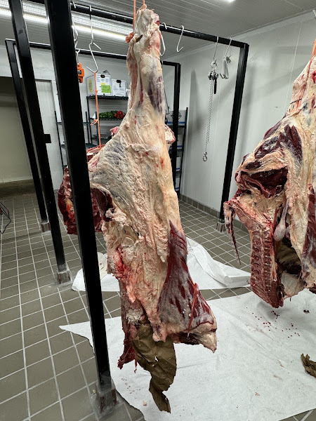 Mayar’s Meat Market 5