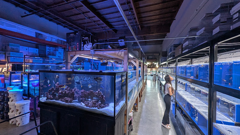 Aquatic Collection 3