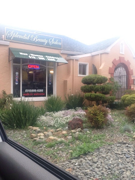 Splendid Beauty Hair Salon 3