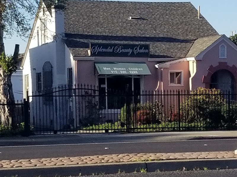 Splendid Beauty Hair Salon 4