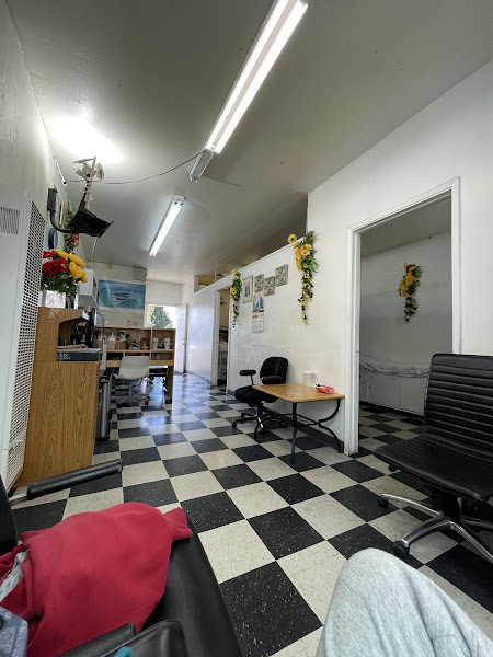Perfect Cut 2
