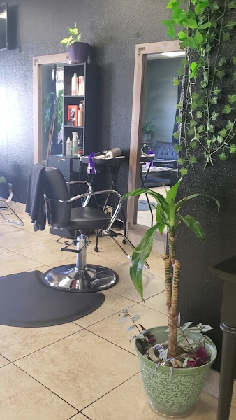 Mercy Hairstylist Beauty Salon 2