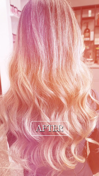 Majestic Salon 2